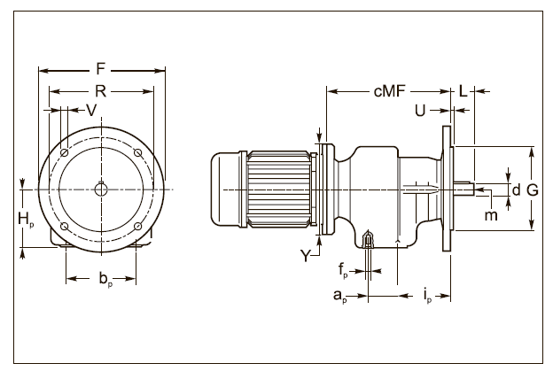 Вариант исполнения AMF 25