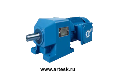 Исполнение лапы